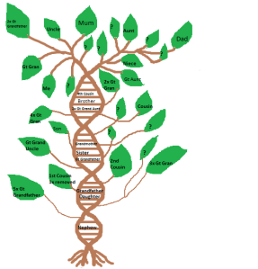 Family Tree DNA