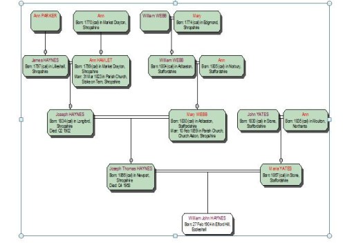 Haynes Family Tree