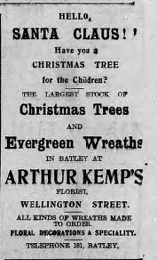 Kemps trees  11 Dec 1915