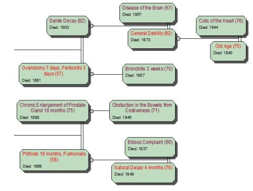 Cause of Death Pedigree grandad Hill 3b
