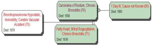 Cause of Death Pedigree grandma Hill 2