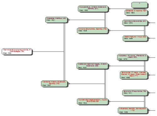 Cause of Death Pedigree nana Callaghan 1a