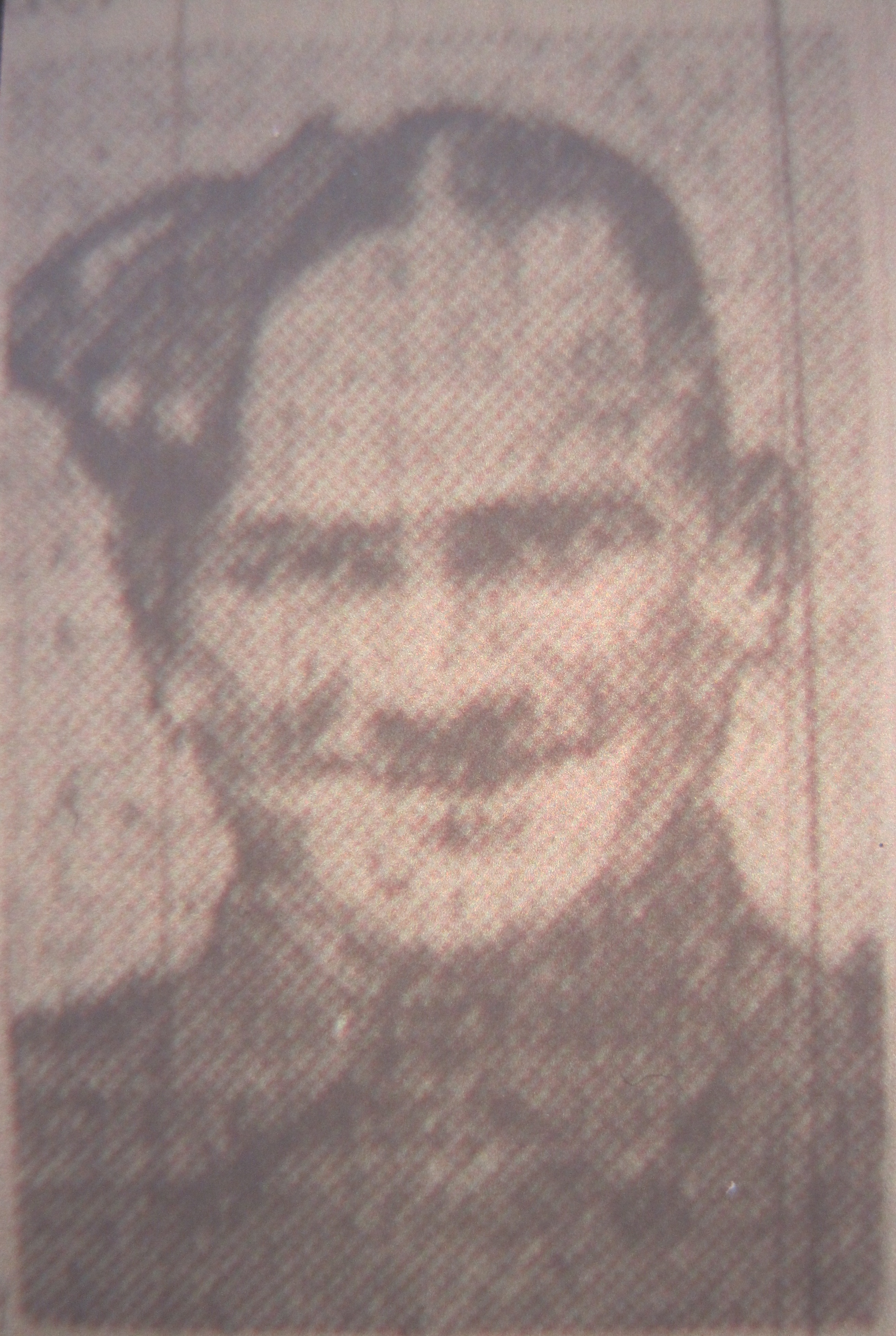 Albert E Hill Batley News July 28 1945 8 (2)